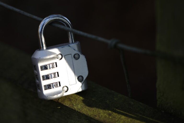 Understanding the Mechanics Behind High-Security Door Locks